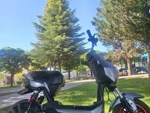 Moto eléctrica 